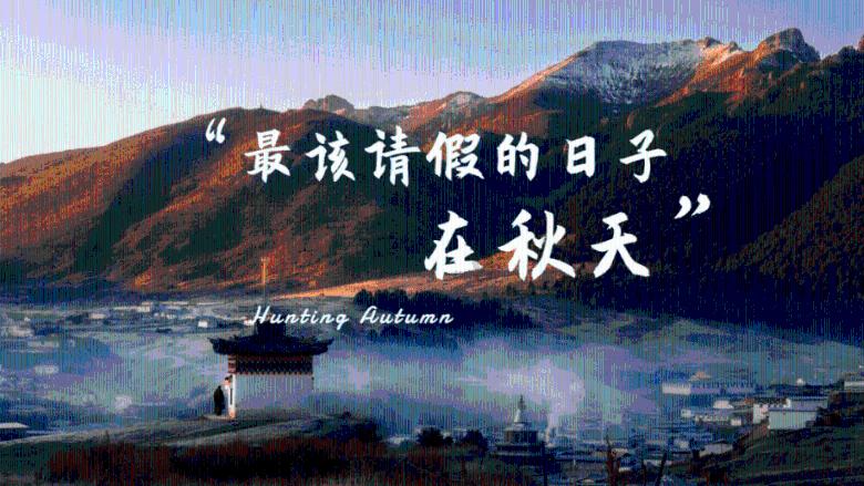 外星球体进黑洞